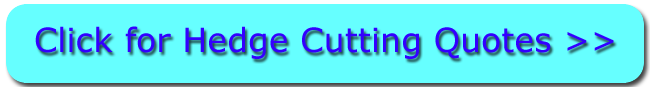 Hedge Trimming Quotes Stepps Hedge Trimming Quotes (Dialling code 0141)