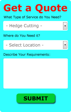 Hedge Cutting Quotes Hedge Cutting Quotes Stepps Scotland G33
