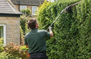 Local Ruislip Hedge Cutting Services HA4