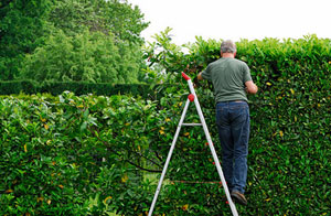 Hedge Trimming Bovingdon UK