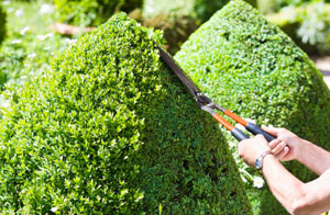 Hedge Trimming Bovingdon