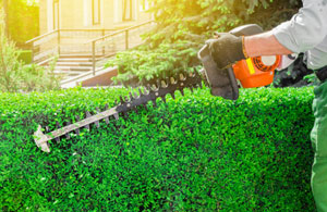 Hedge Cutting Meltham HD9