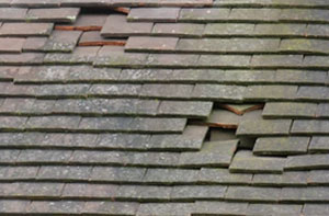 Roofers Amble