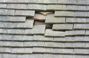 Roofers Shaw